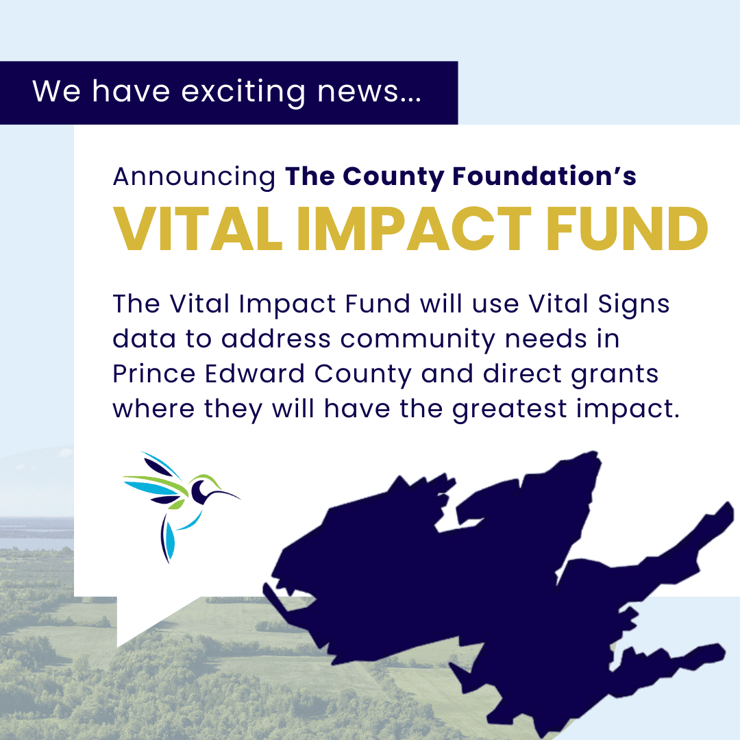 Announcing the Vital Impact Fund